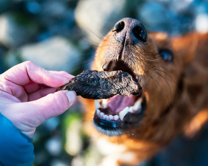 JR Pet Products Ostrich Biltong