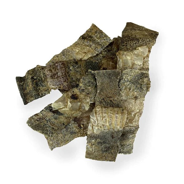 JR Pet Products Ostrich Skin