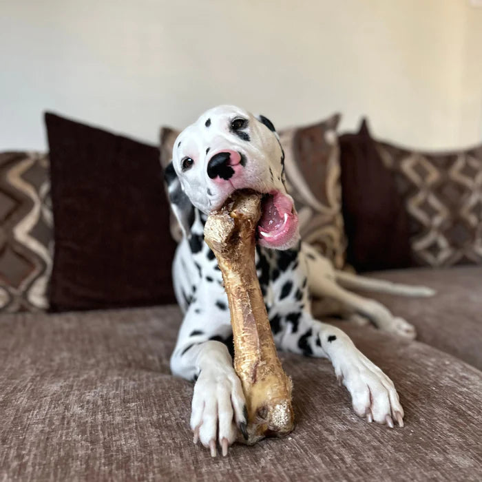 JR Pet Product Ostrich Bone