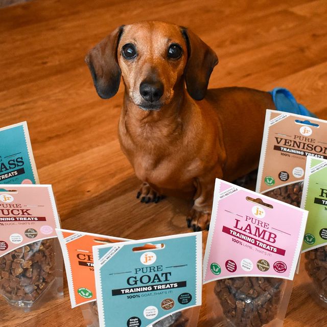 JR Pet Products Training Treats
