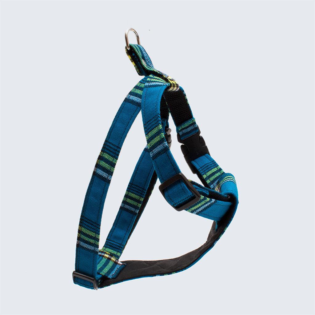 Hiro and Wolf Shuka Blue Harness