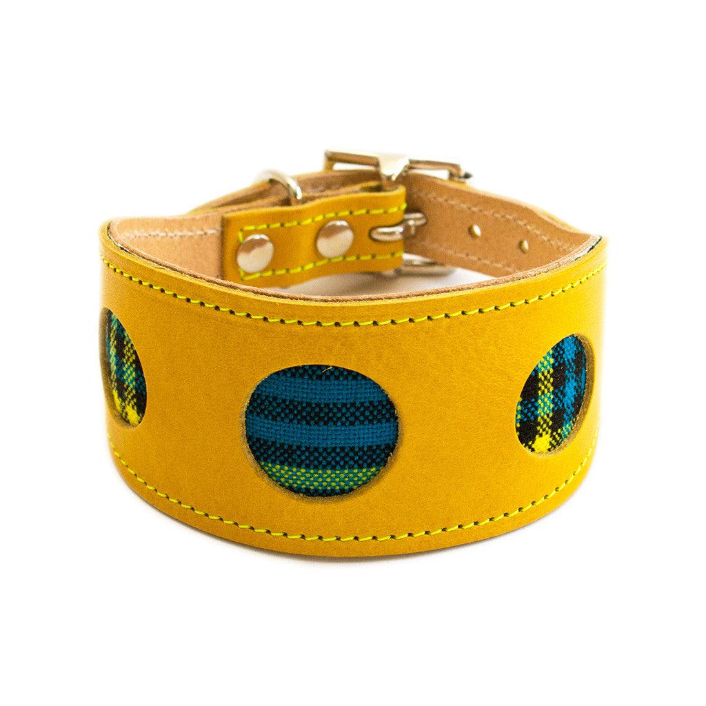 Hiro and Wolf Shuka Blue Hound Collar