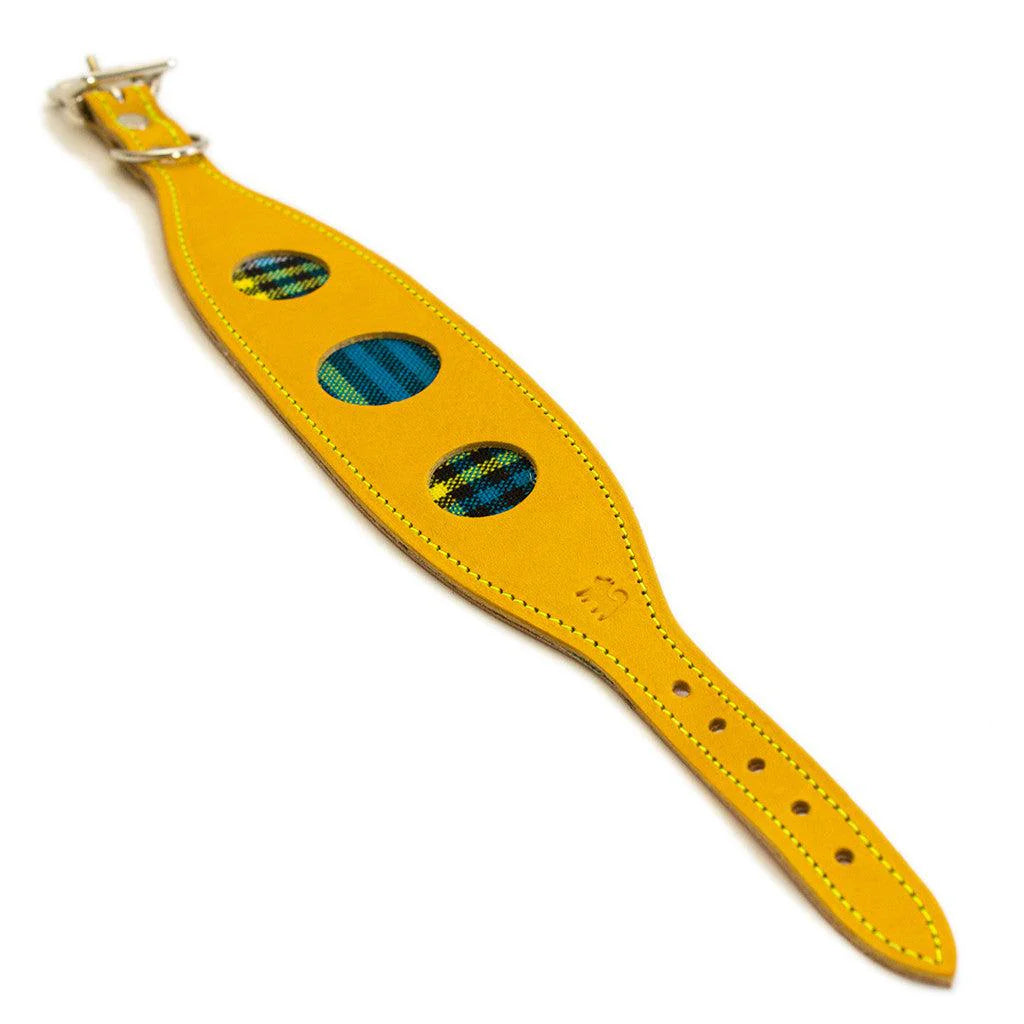 Hiro and Wolf Shuka Blue Hound Collar