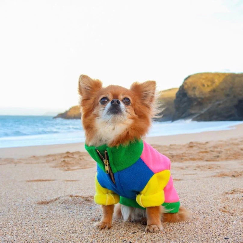 The Distinguished Dog Company The Gatsby Fleece, Neon