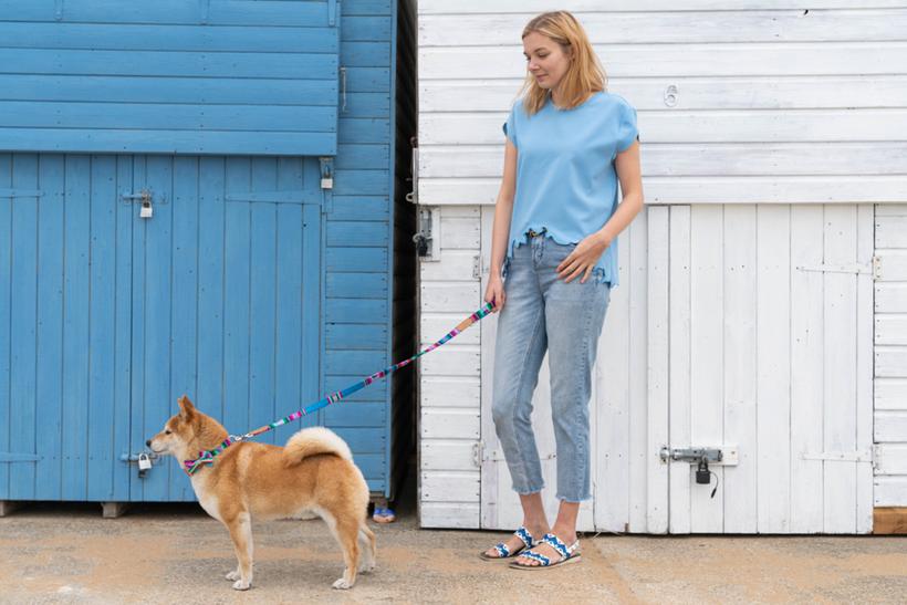 Hiro and Wolf Inca Blue Classic Lead