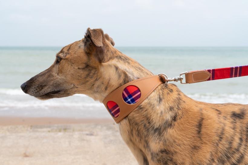 Hiro and Wolf Shuka Red Hound Collar