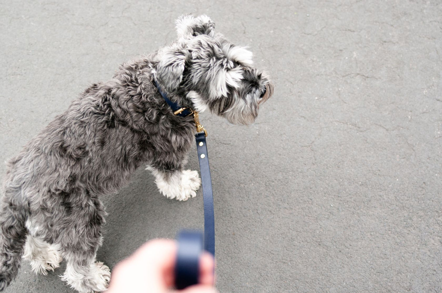 Vackertass Supply Company Classic Navy Leather Lead