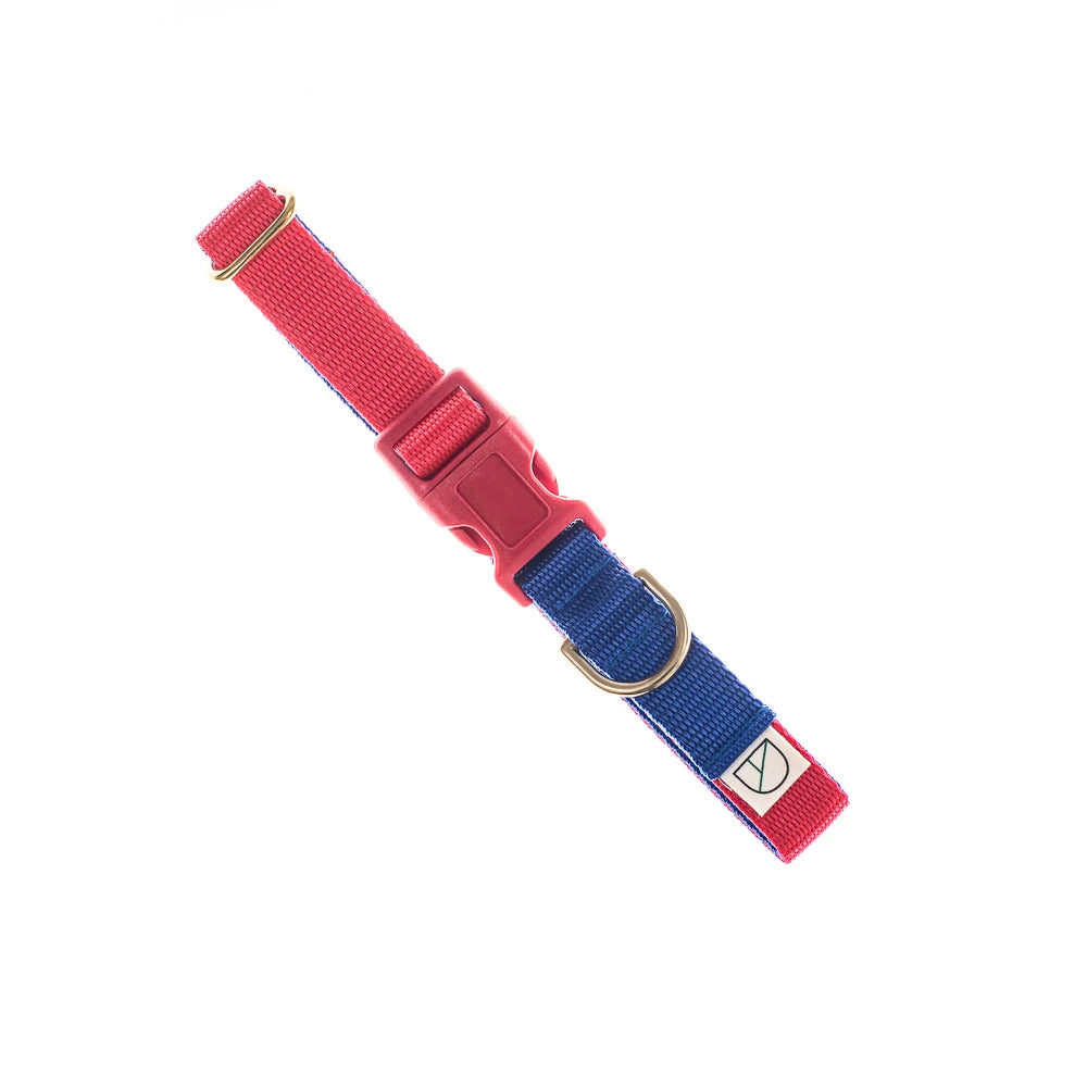 Doggie Apparel ‘King’ Red & Royal Collar