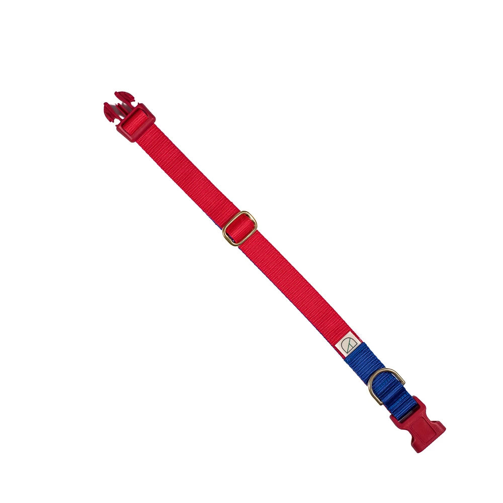 Doggie Apparel ‘King’ Red & Royal Collar