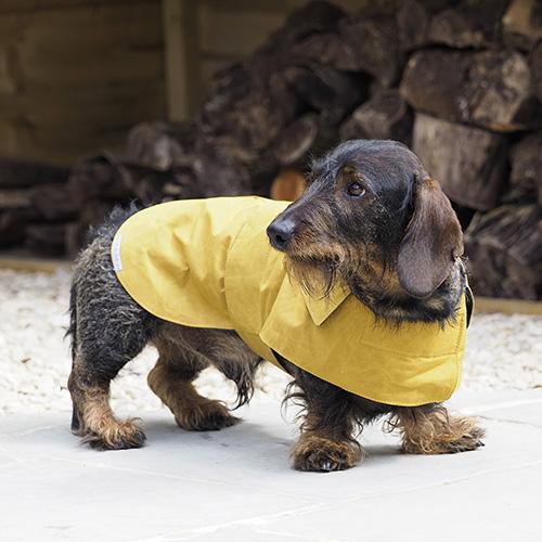 Mutts and Hounds Mustard Waxed Waterproof Dog Coat