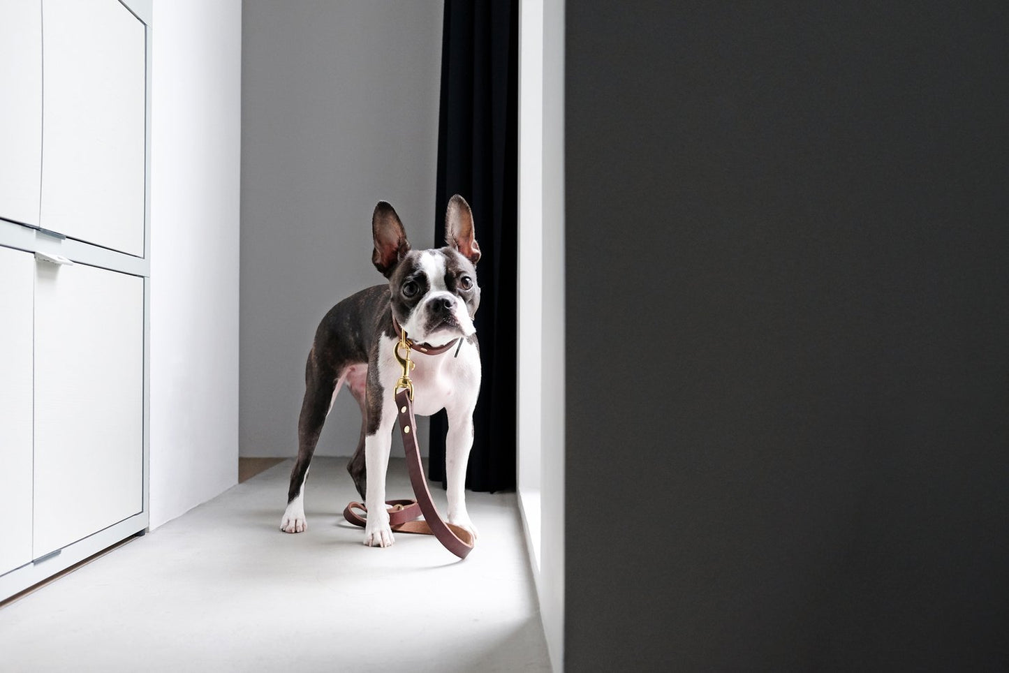 Vackertass Supply Company Classic Brown Leather Lead