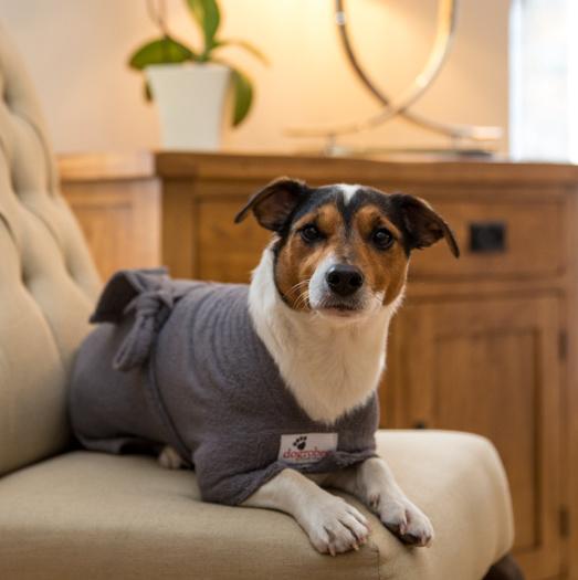 Dogrobes Grey Drying Robe