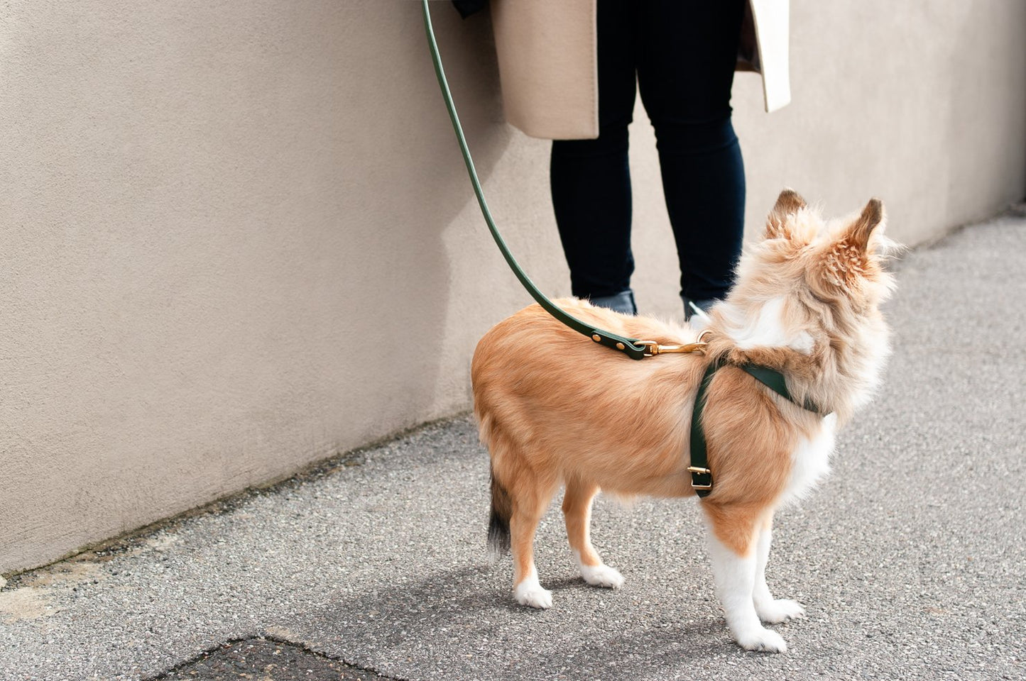 Vackertass Supply Company Classic Green Leather Lead