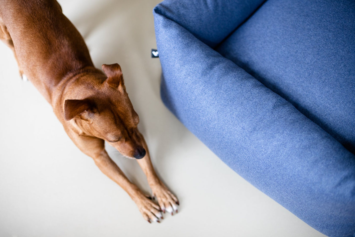 Vackertass Sky Blue Fort Bolster Bed