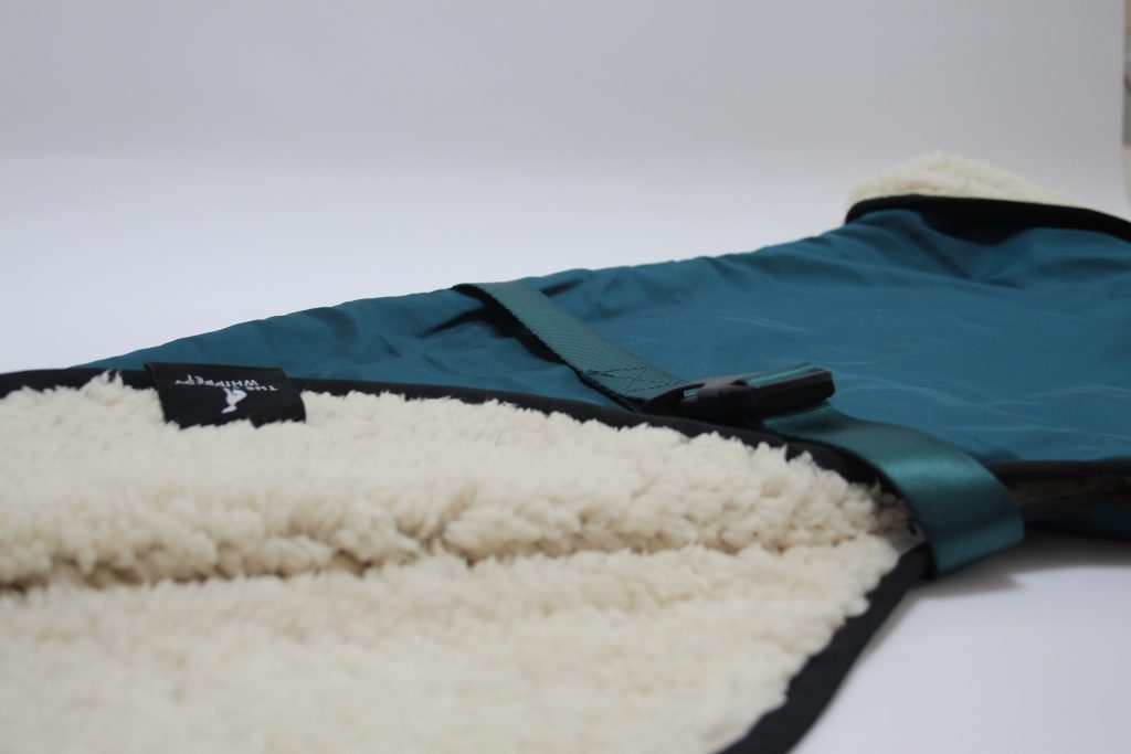 The Trendy Whippet Waterproof Teal Sighthound Coat