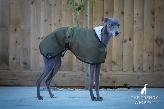 The Trendy Whippet Waterproof Olive Green Sighthound Coat