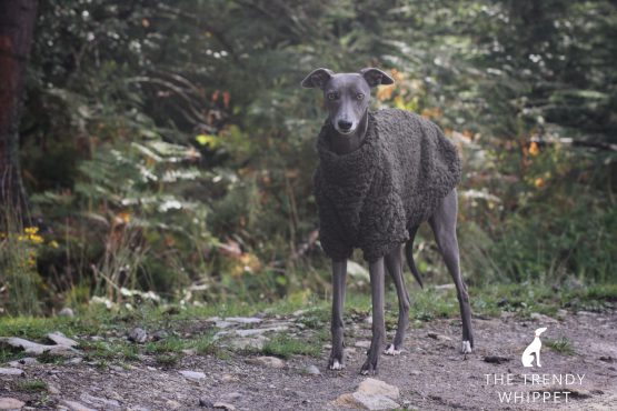 The Trendy Whippet Khaki Fluffy Fleece Whippet Jumper