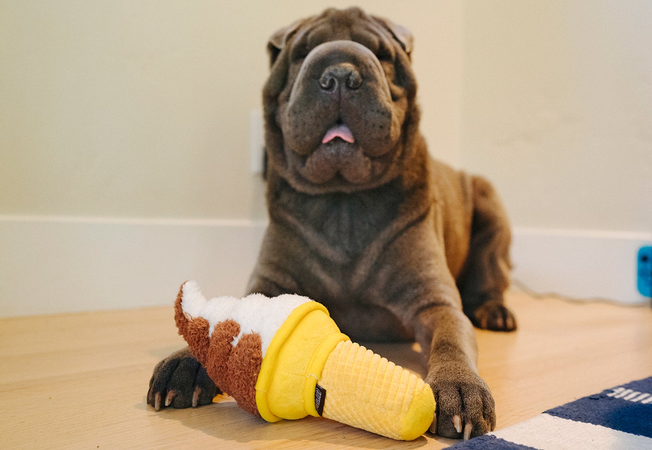 P.L.A.Y Snack Attack Collection