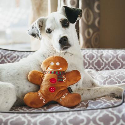 P.L.A.Y Christmas Gingerbread Man Toy