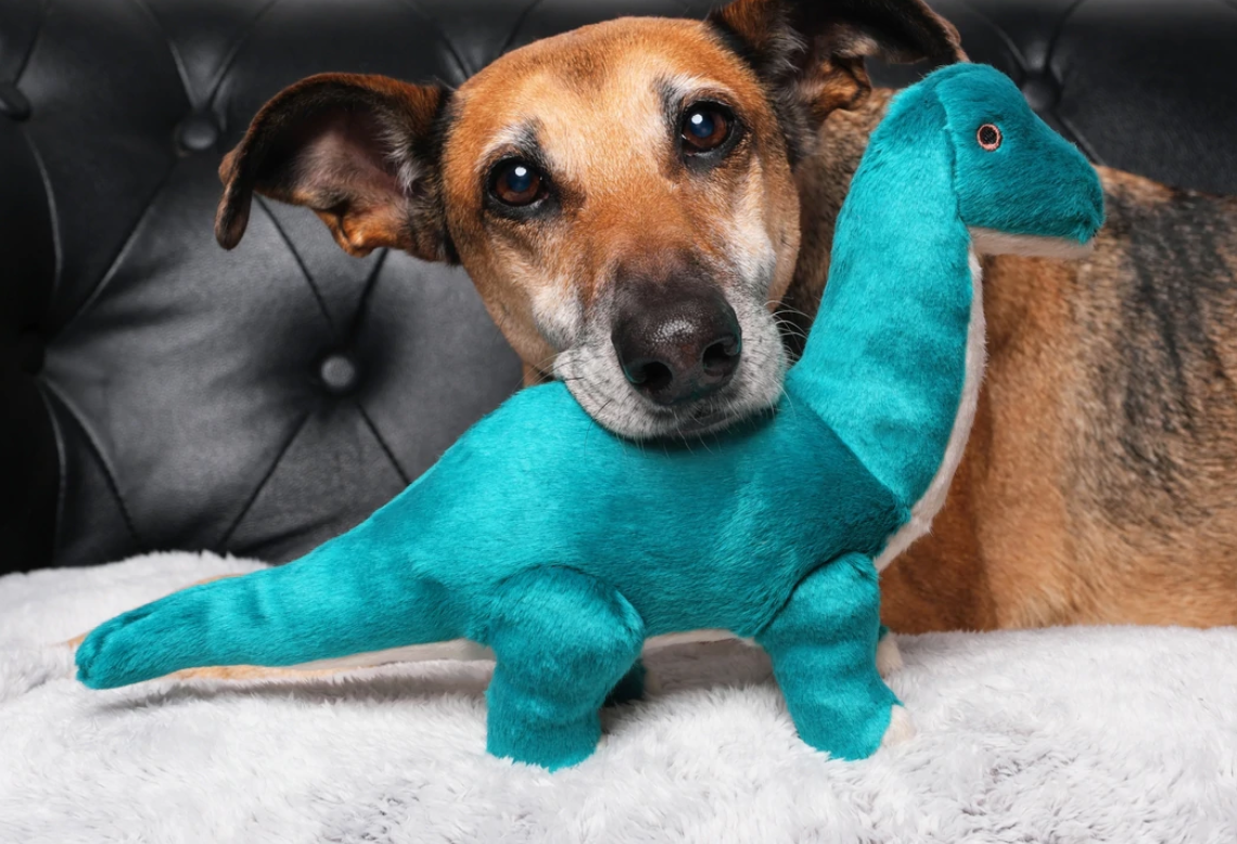 Fluff and Tuff Ross Brachiosaurus