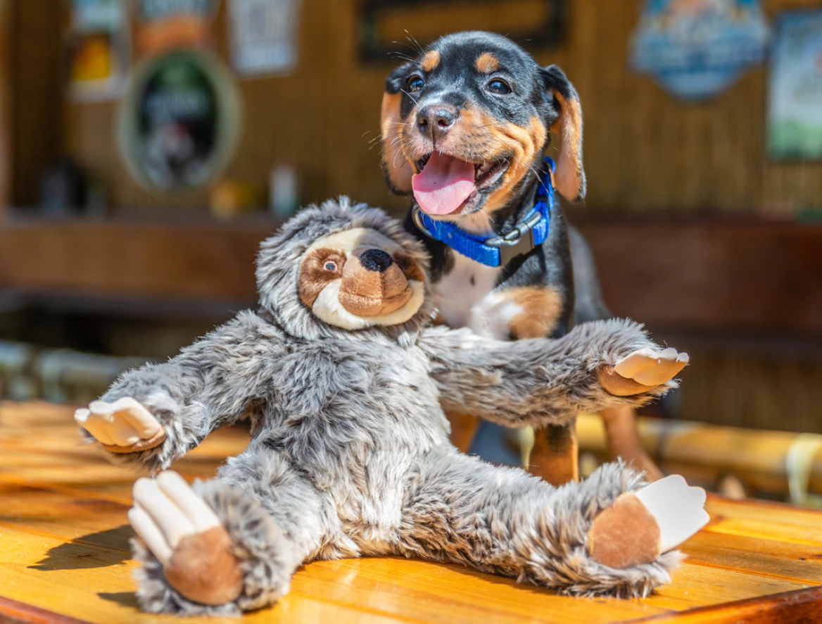 Fluff and Tuff Sonny Sloth