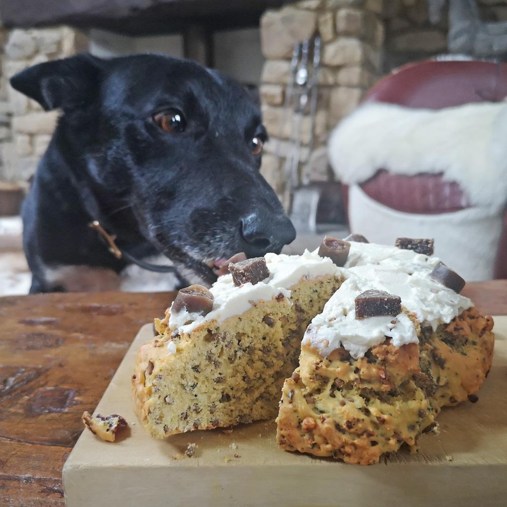 The Innocent Hound Christmas Cake Mix