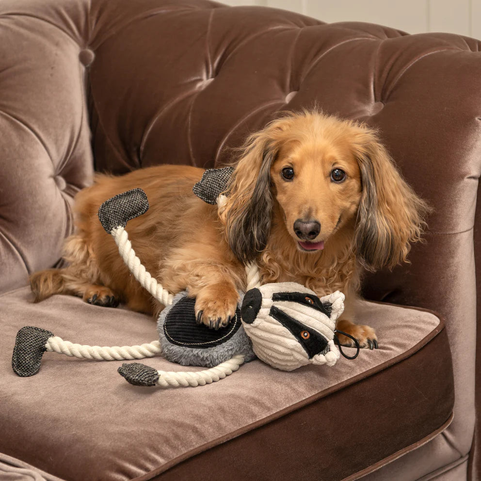 Mutts and Hounds Baxter Badger Plush Toy