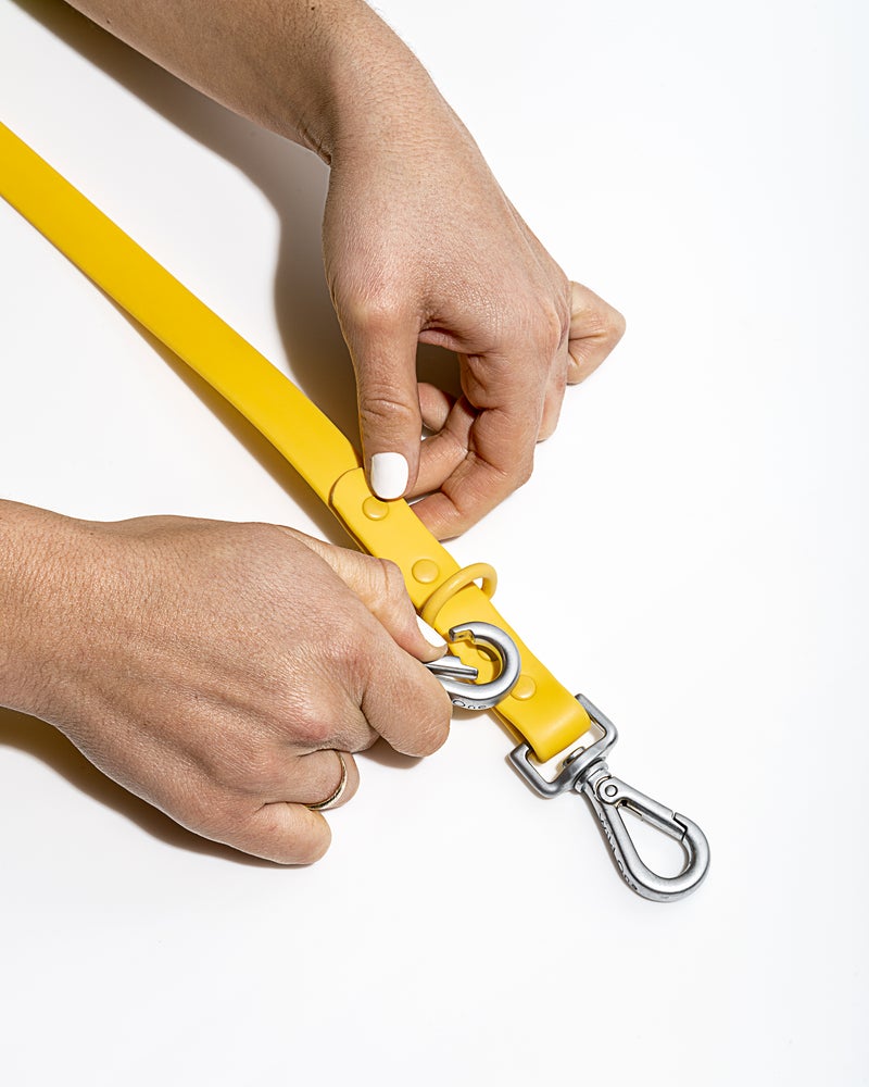 Wild One Butter Poly Strap Lead