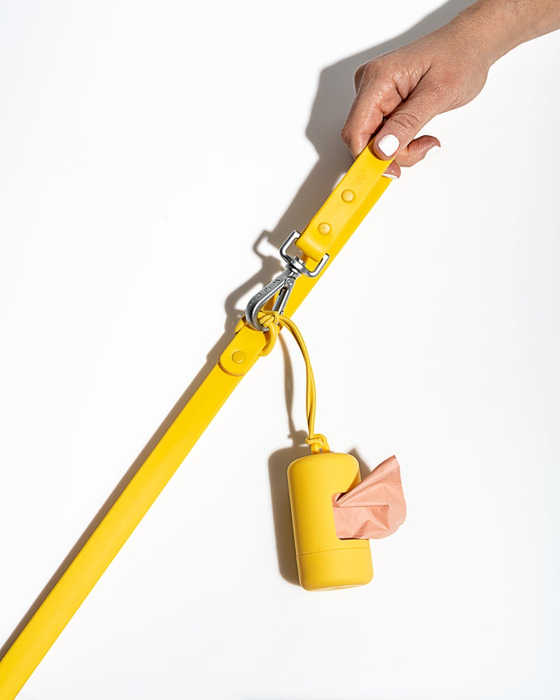 Wild One Butter Poly Strap Lead
