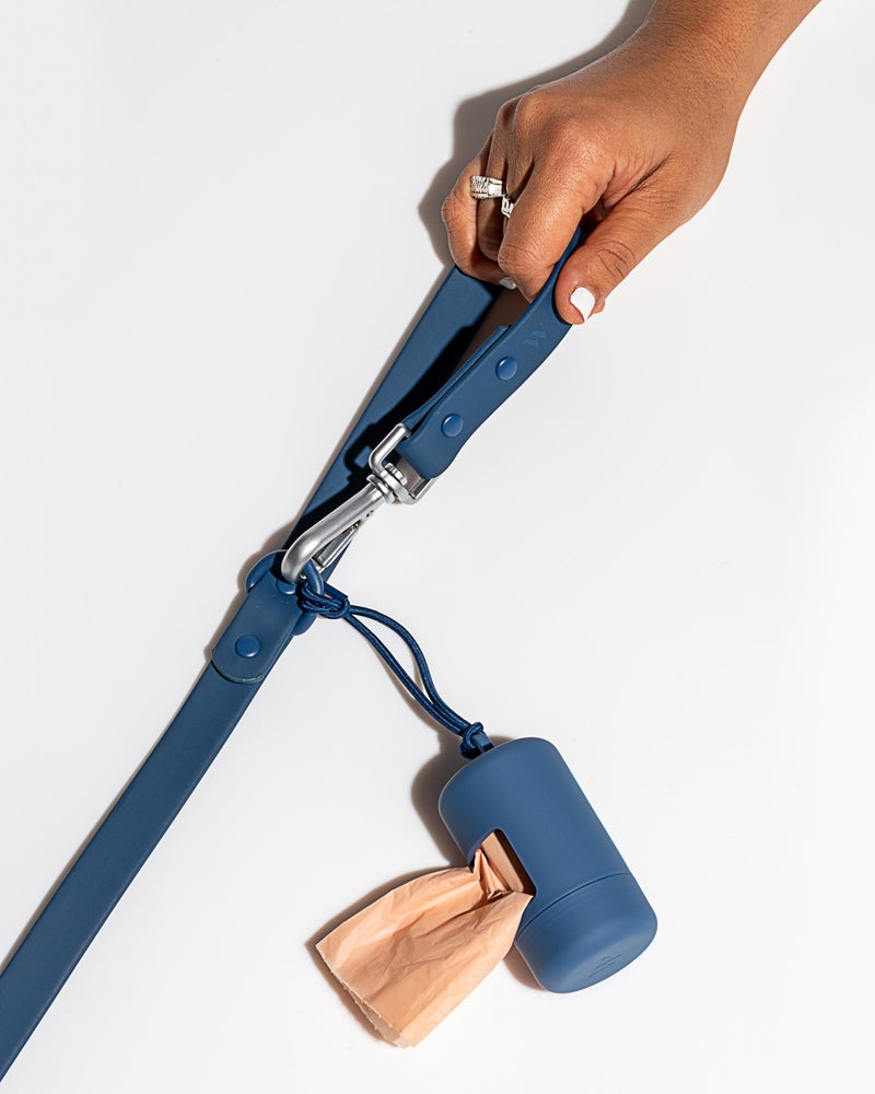 Wild One Blue Poly Strap Lead