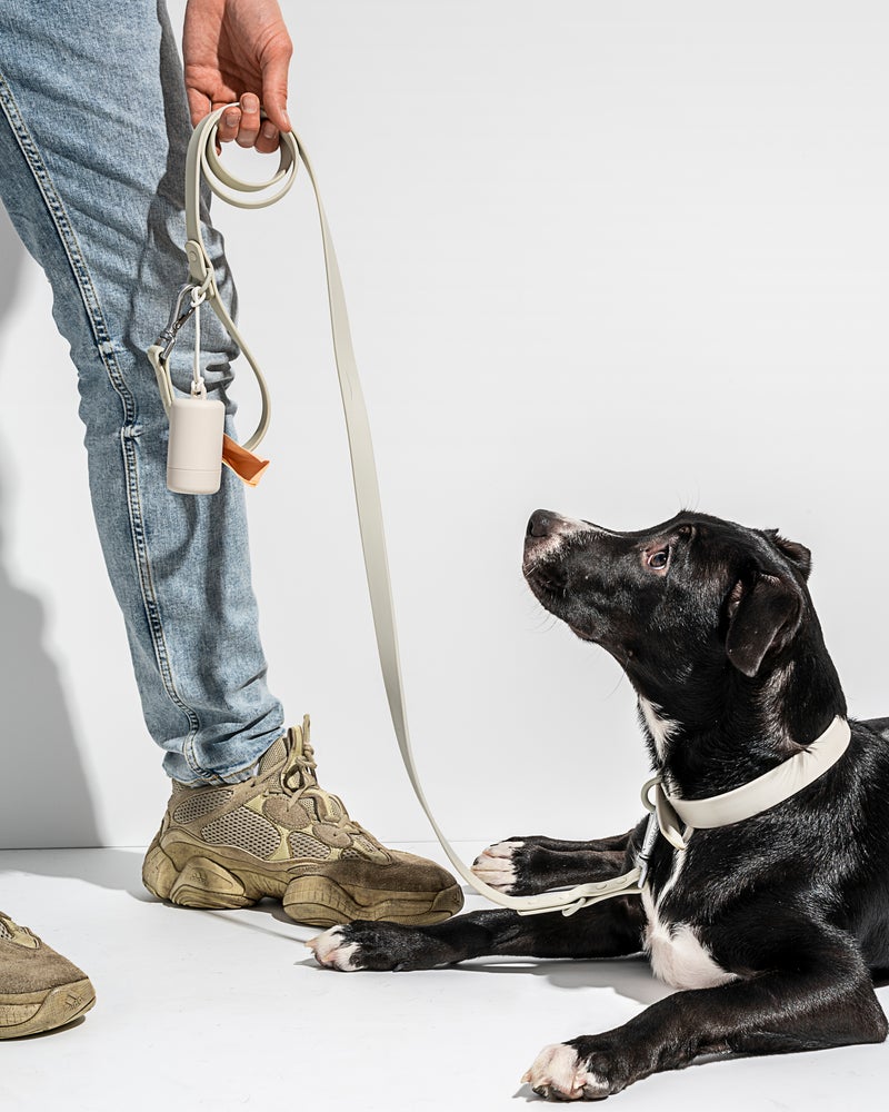 Wild One Grey Poly Strap Collar