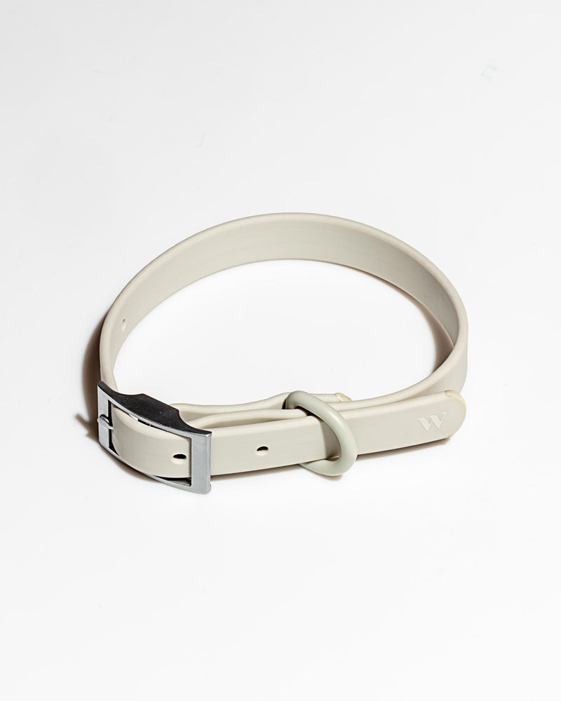 Wild One Grey Poly Strap Collar