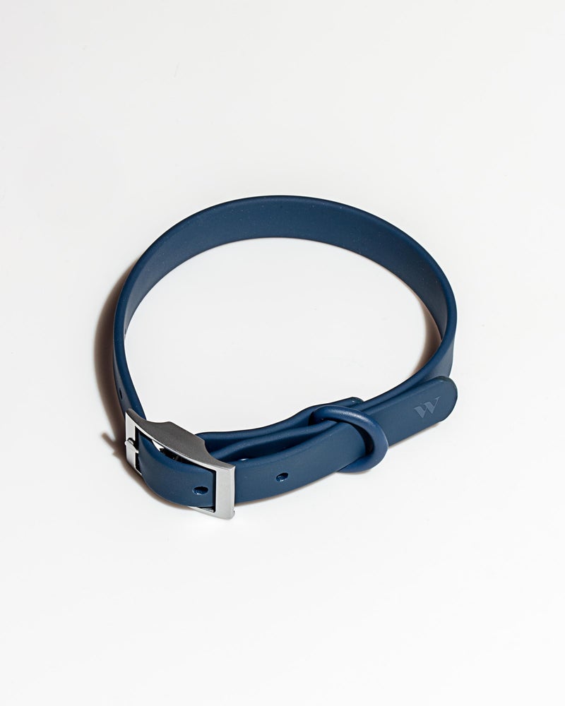 Wild One Blue Poly Strap Collar