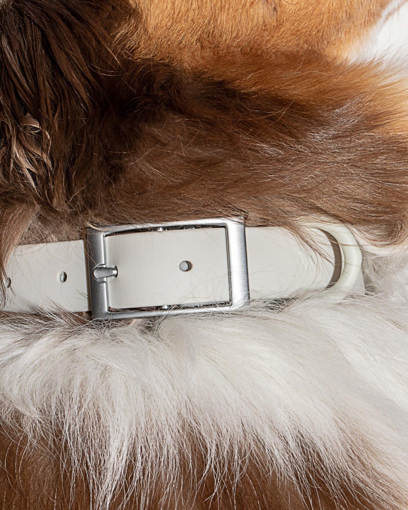 Wild One Grey Poly Strap Collar