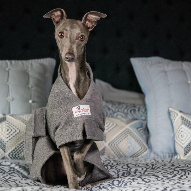 Dogrobes Grey Drying Robe