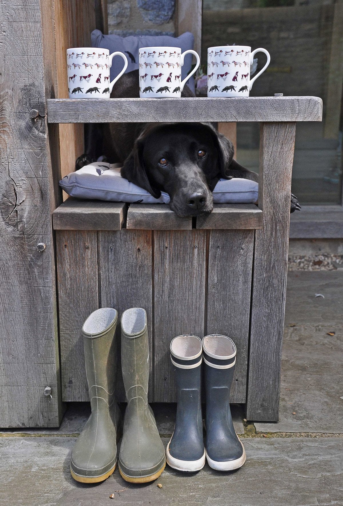 Sophie Allport 'Walkies!' Mug