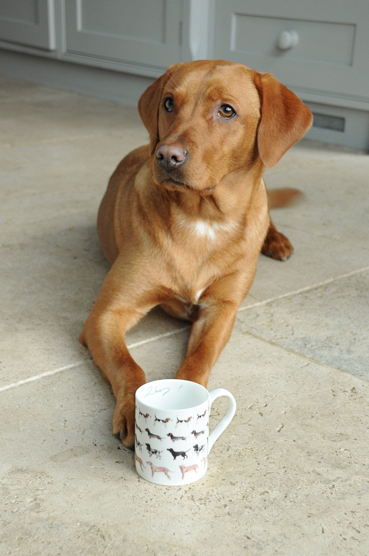 Sophie Allport 'Woof!' Mug