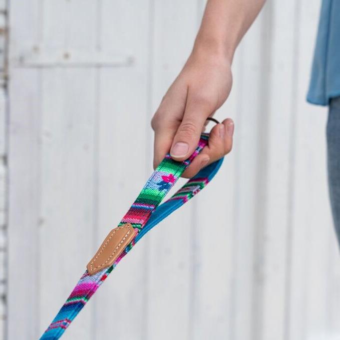 Hiro and Wolf Inca Blue Classic Lead