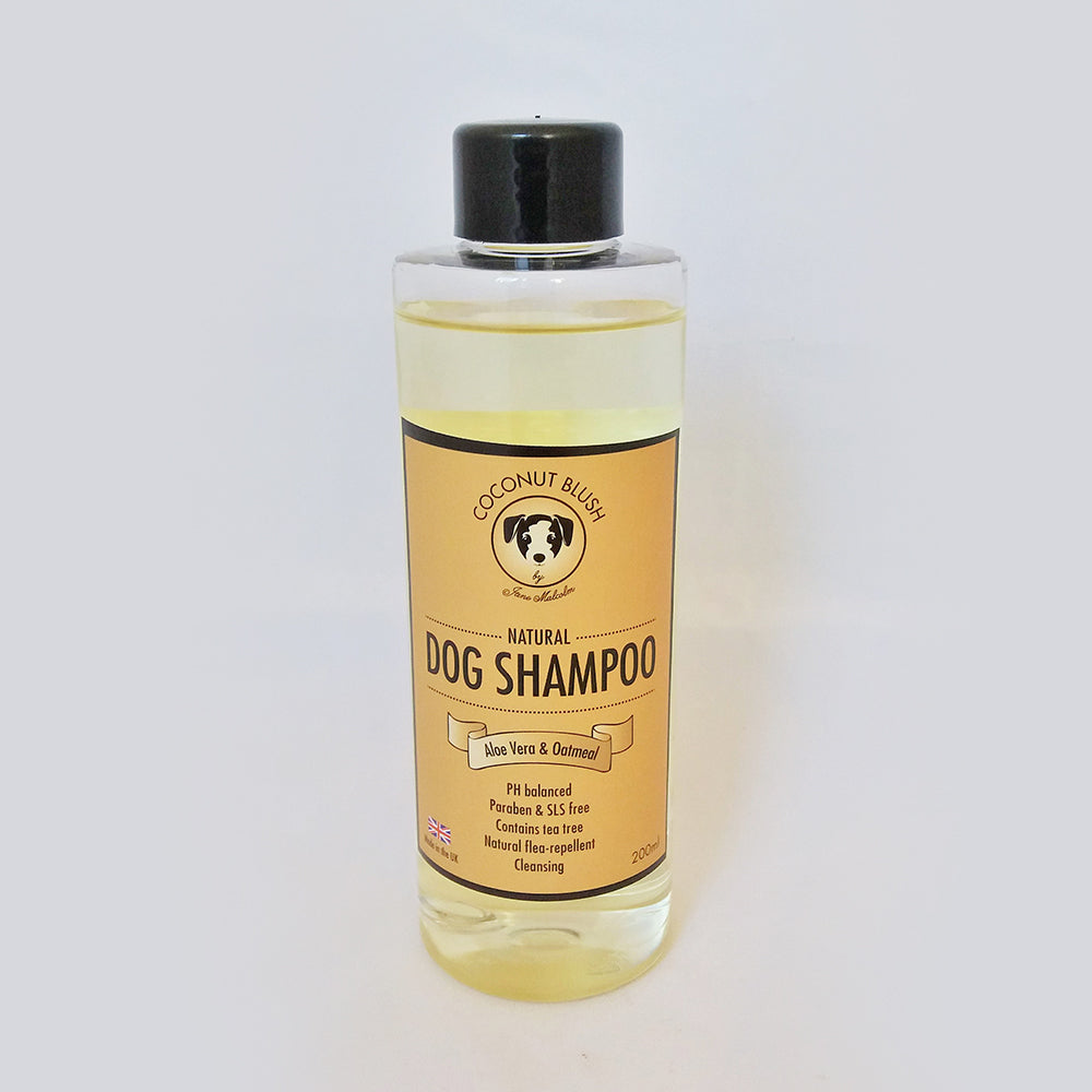 Coconut Blush Conditioning Shampoo