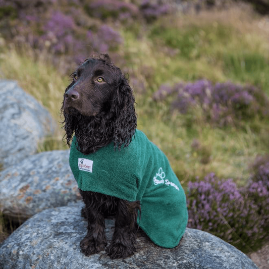 Dogrobes Green Drying Robe