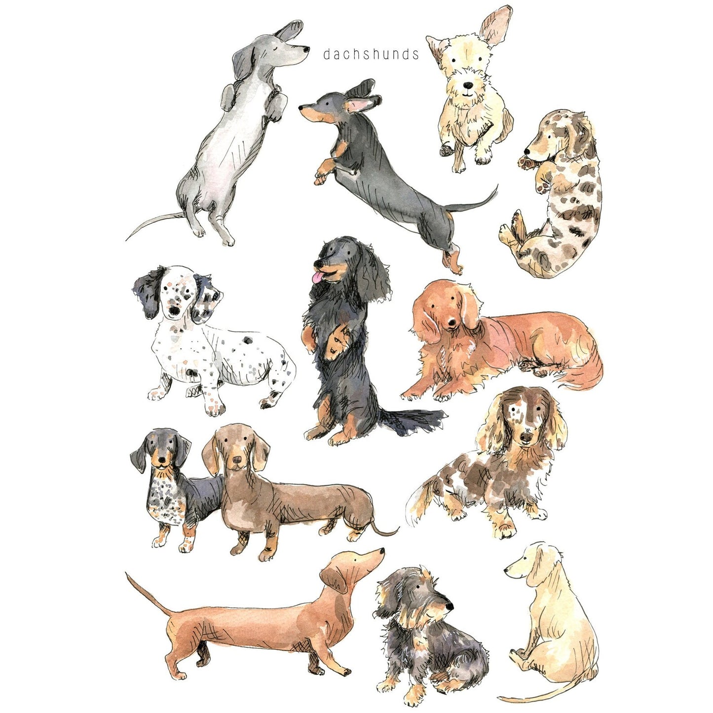 Tabitha Noakes ‘Dachsunds’ A4 Print
