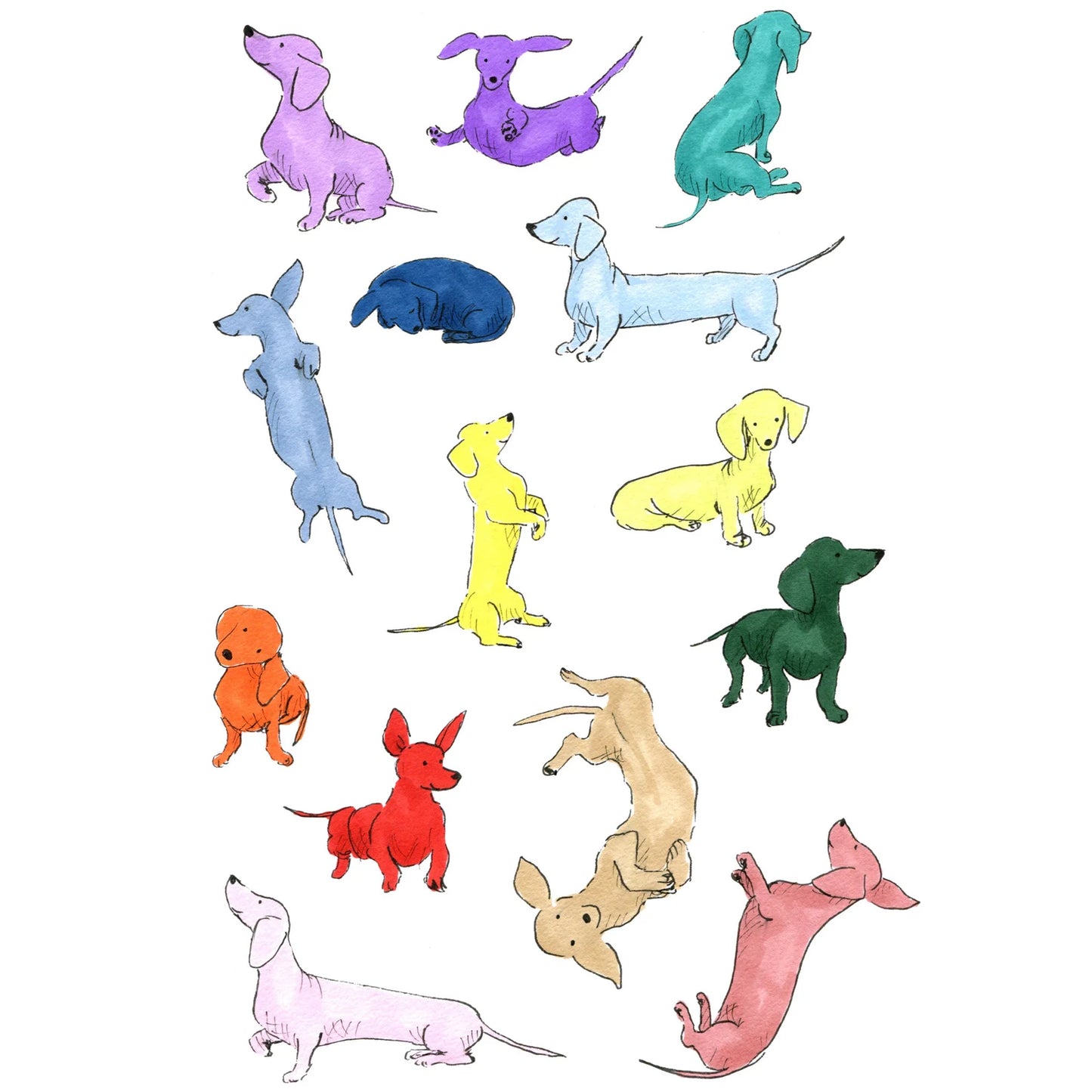 Tabitha Noakes ‘A Colourful Dachshund Life’ A4 Print