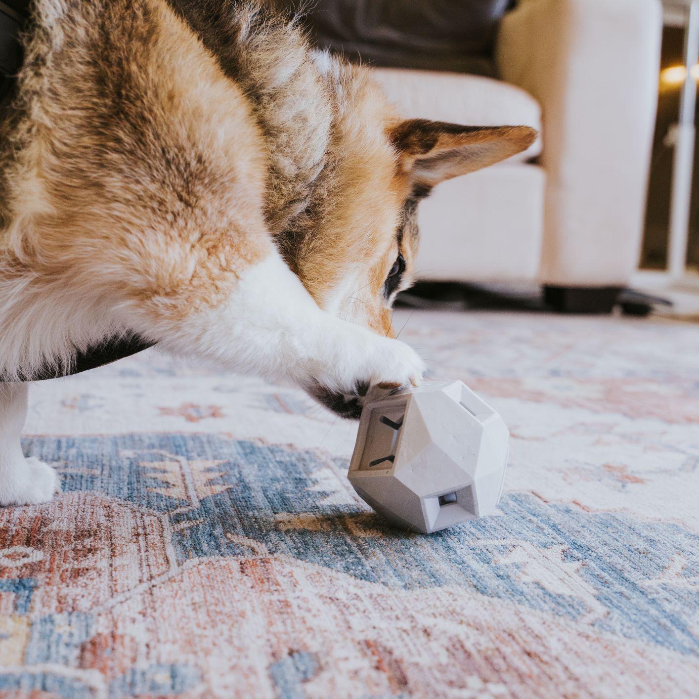 Up Dog Odin Puzzle Toy
