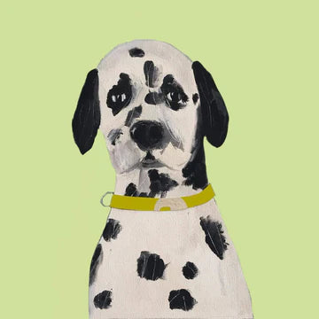 Print Circus ‘Hugo Dalmatian’ Greetings Card