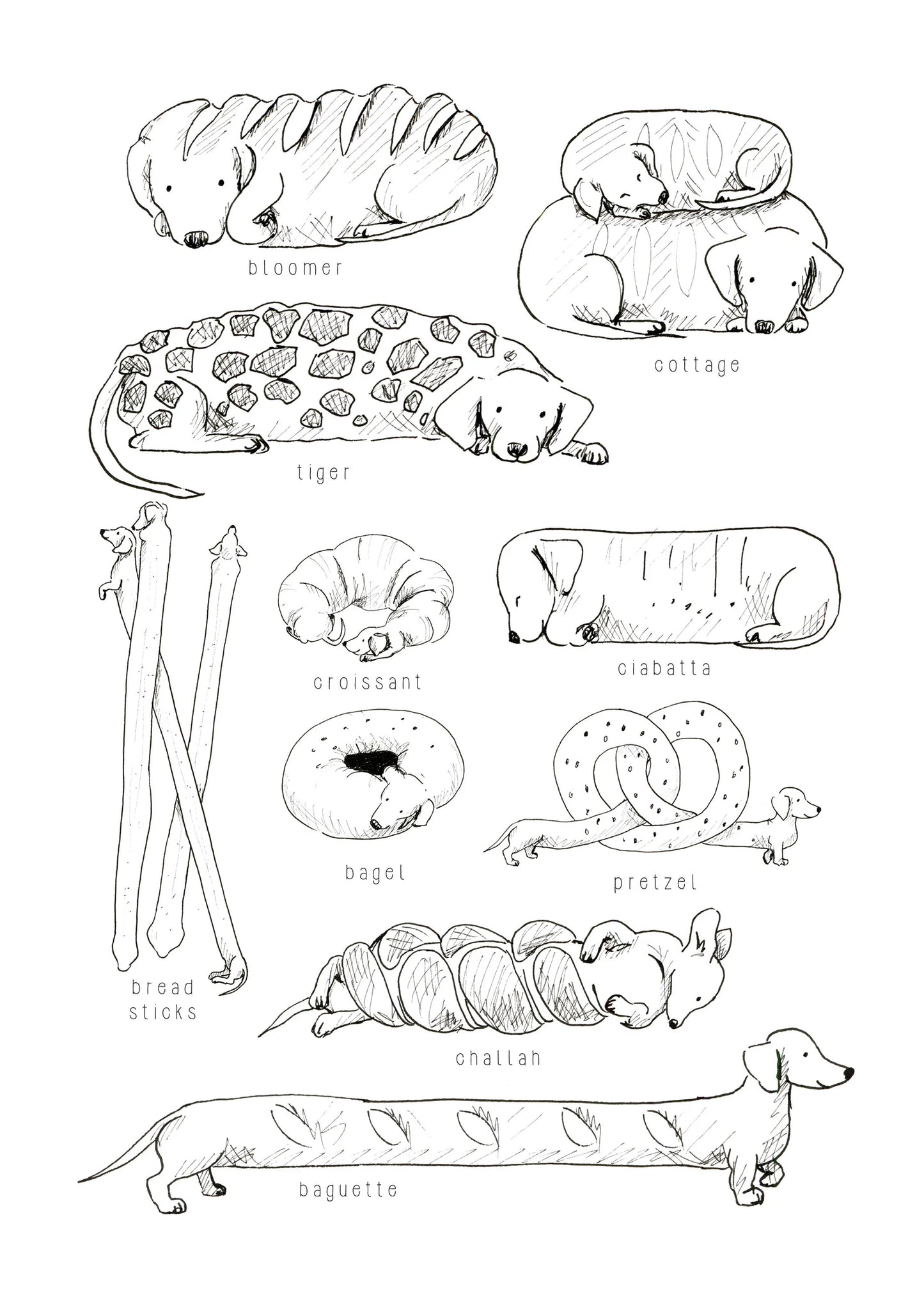 Tabitha Noakes ‘Bread Dogs’ A4 Print