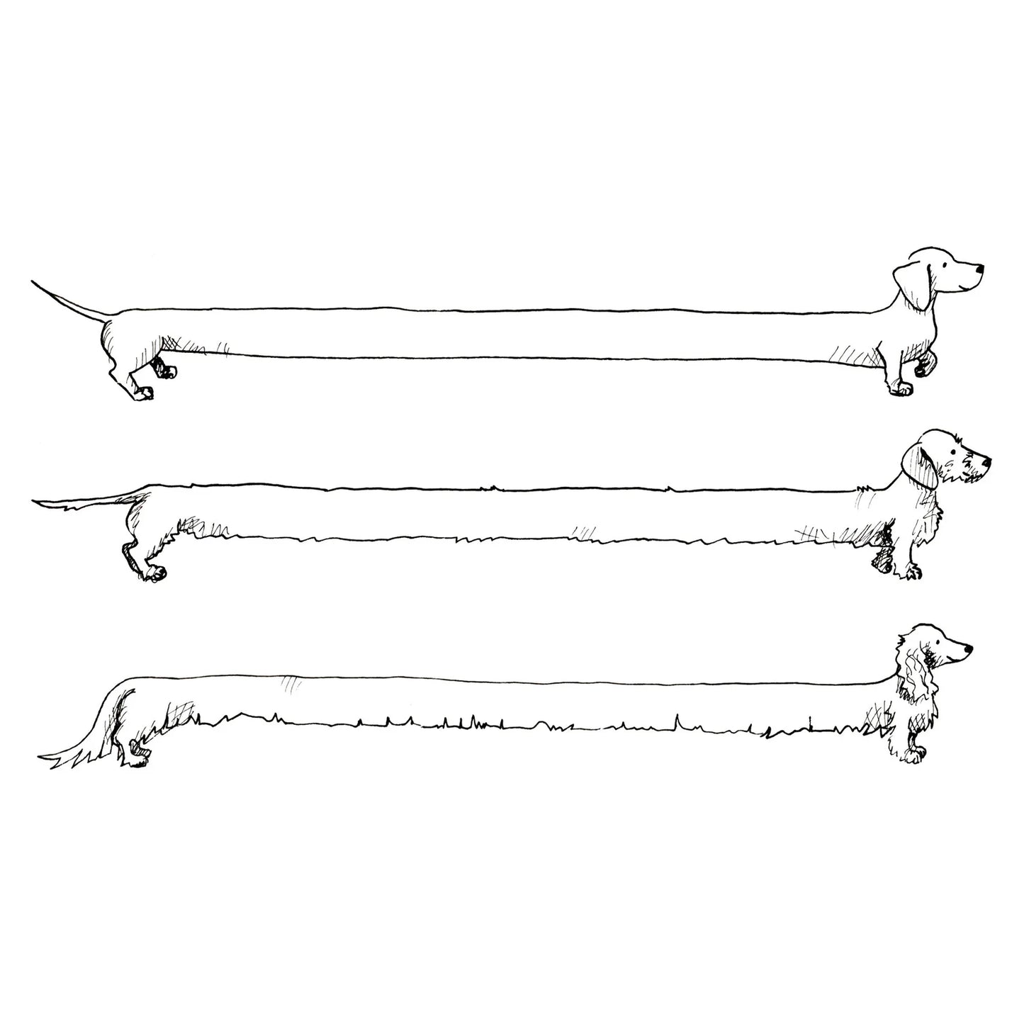 Tabitha Noakes ‘Long Dogs’ A4 Print