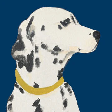 Print Circus ‘Hugo Waits’ Greetings Card