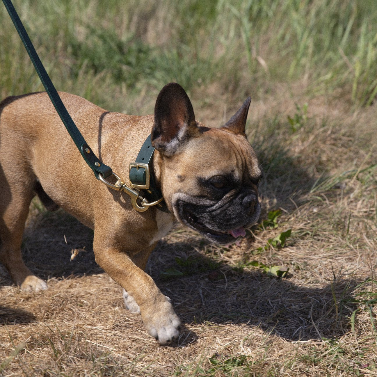 Kintails Standard Green Leather Lead