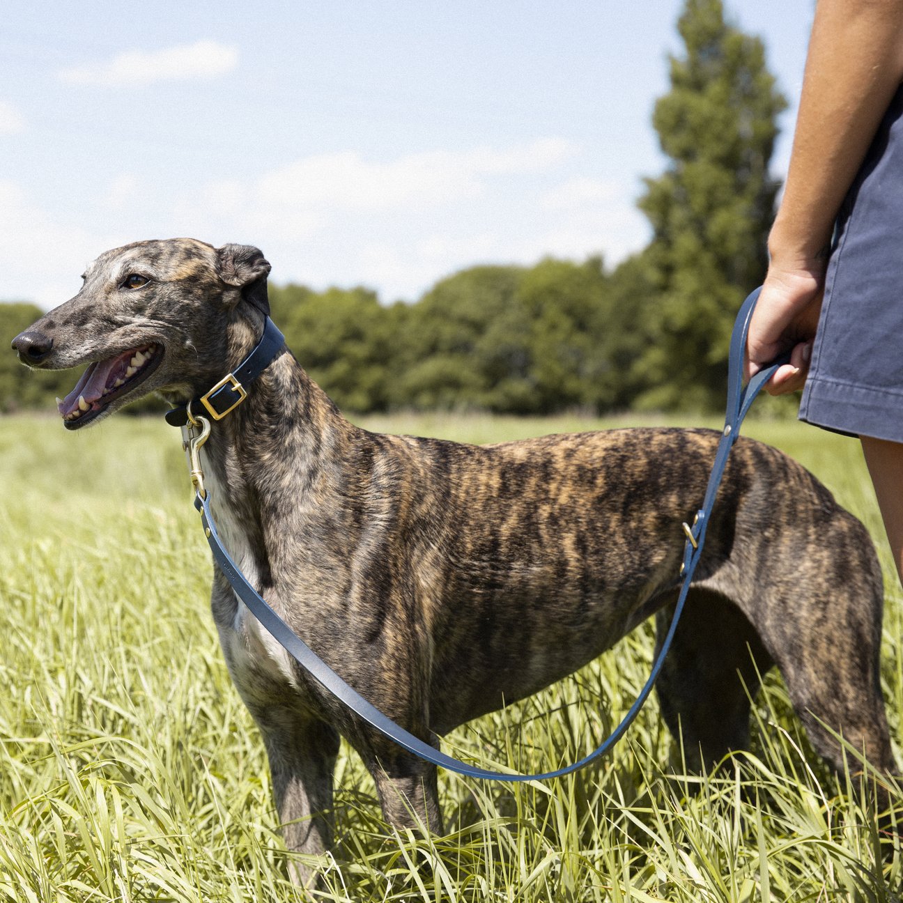 Kintails Skinny Navy Leather Lead