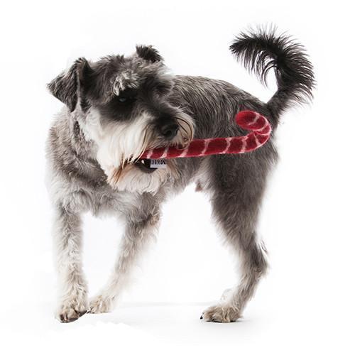 Mutts and Hounds Candy Cane